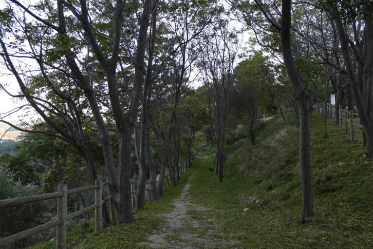 Zona recreativa y mirador en Campell, Vall de Laguar