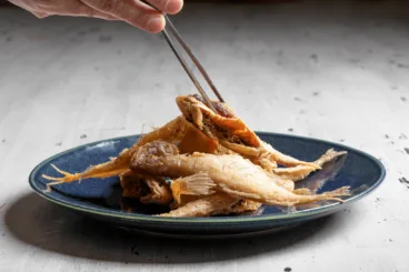 Pescaditos fritos recogidos en la zona