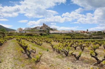 campo de cultivo en benitatxell