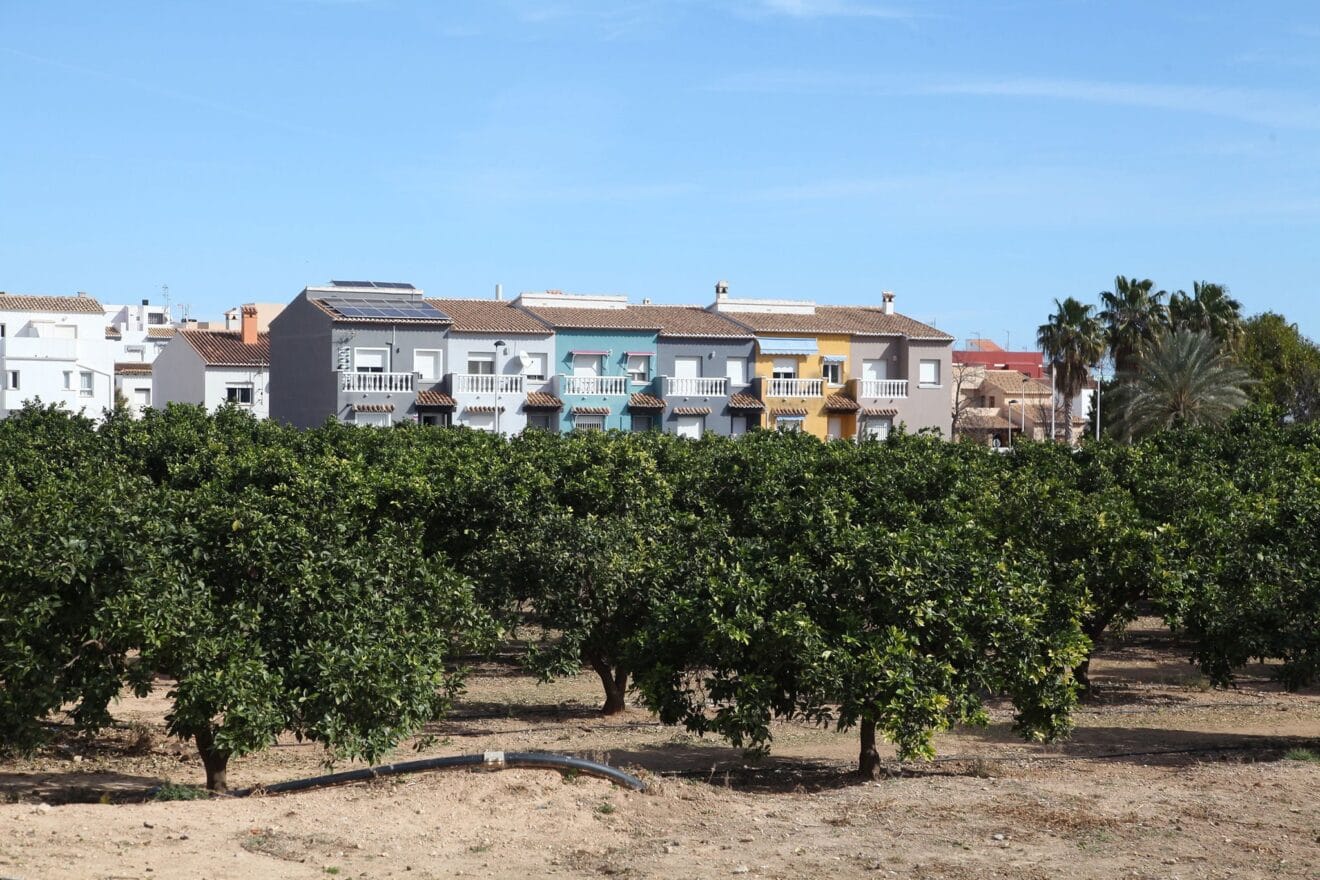 Casitas coloridas con campos de naranjos en frente en Beniarbeig