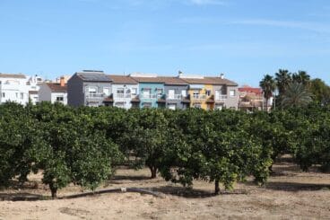 Casitas coloridas con campos de naranjos en frente en Beniarbeig