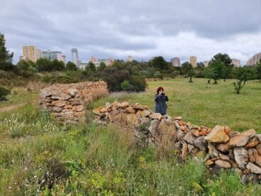 Taller Construcción Piedra Seca