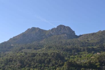 Cavall Verd de Benigembla. MACMA.