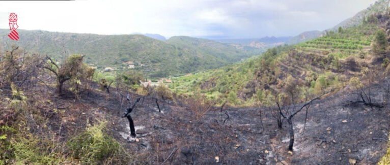 Extinguido el incendio de la Llosa de Camacho - Alcalalí