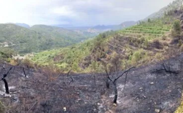incendio alcalali