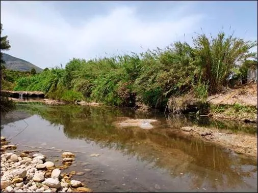 Cerca de 355.000 euros para restaurar el bosque de ribera autóctono del río Gorgos en Alcalalí 1 Imagen: Río Gorgos a su paso por Alcalalí