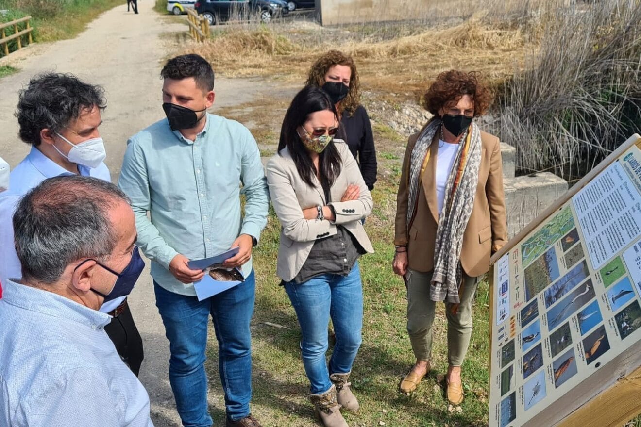 Visita Colomer a la Marjal Pego Oliva