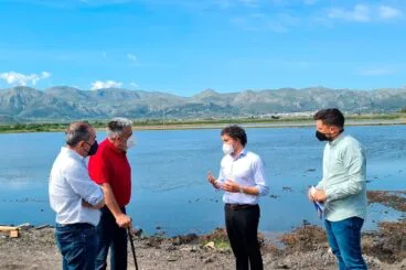 visita ruta ornitologica marjal pego oliva