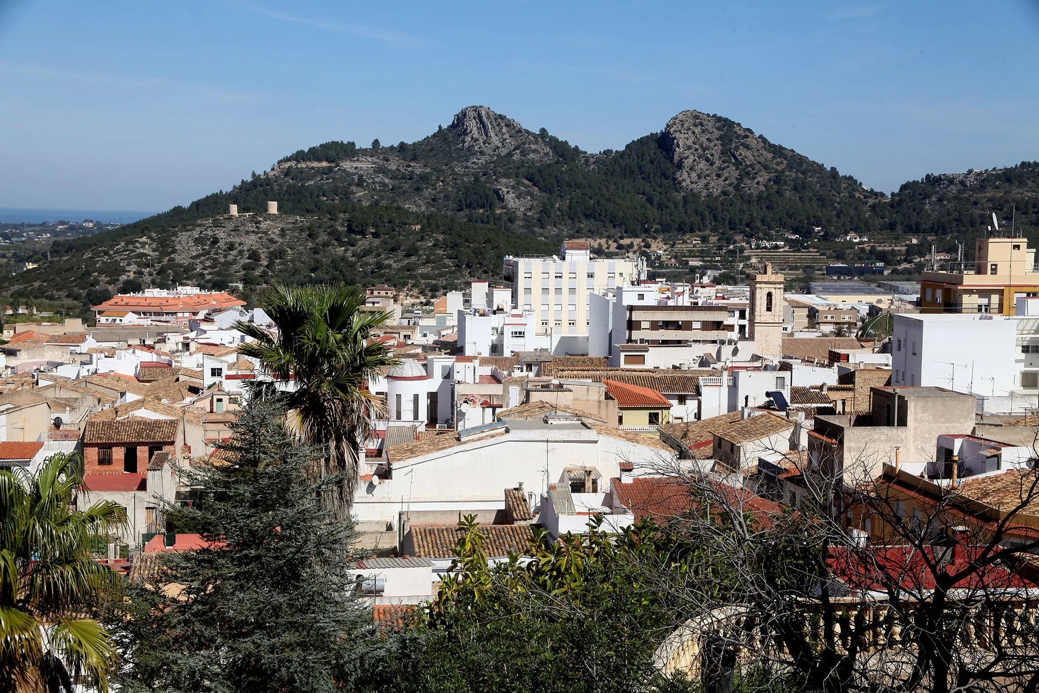 vista de pedreguer