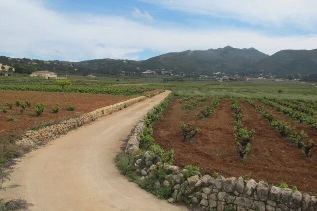 Imagen: Camino Agrícola en Llíber