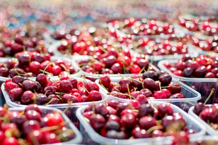 Compromís pide ayudas para los productores de cereza de la Marina Alta