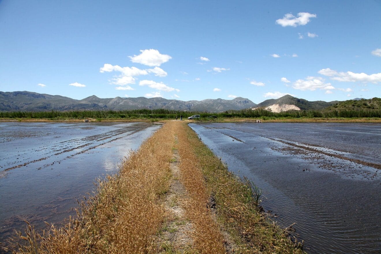 El río Bullent lleva el agua de riego a la Marjal de Pego-Oliva