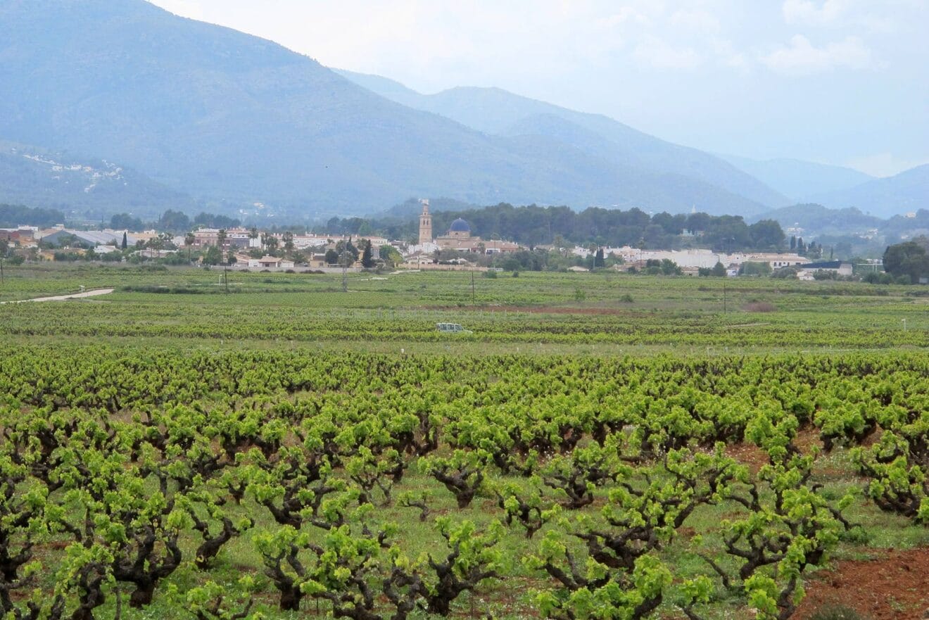 Imagen archivo: interior de la Marina Alta