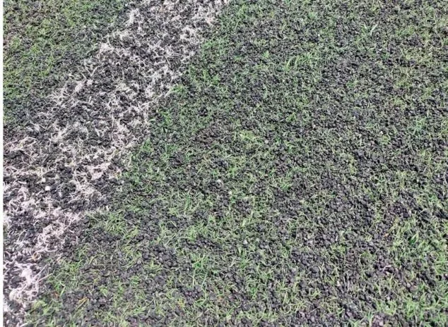 Ondara pide 180.000 euros a Diputación para cambiar el césped del Campo de Fútbol y cubrir la piscina 2 Imagen: Mal estado césped Campo de Fútbol - Ondara