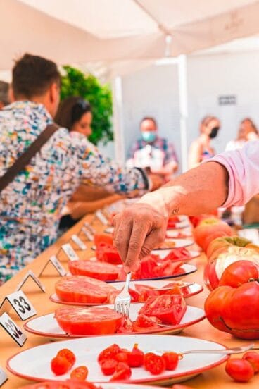 Concurso Millor Tomaca de la Marina Alta