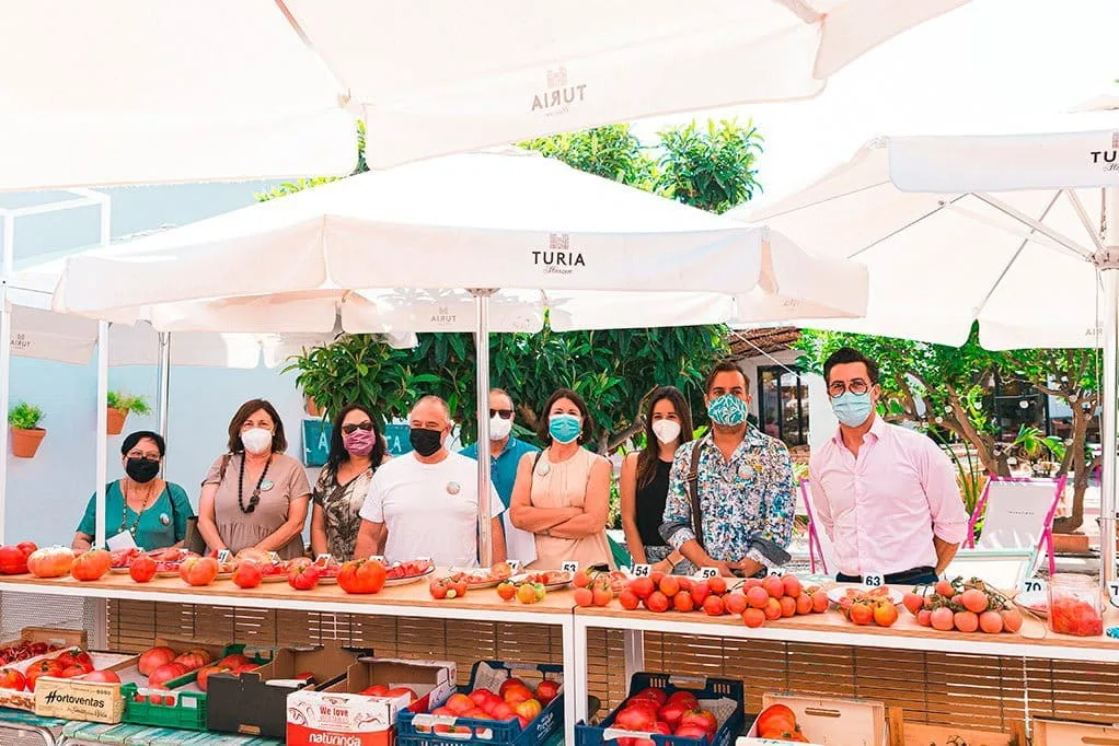 concurso millor tomaca de la marina alta 2