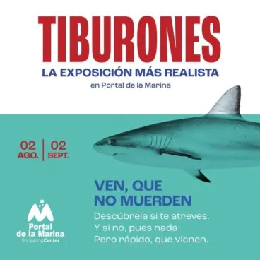 exposicion de tiburones en portal de la marina