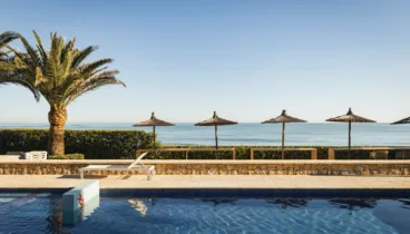 Piscina rodeada de vegetación