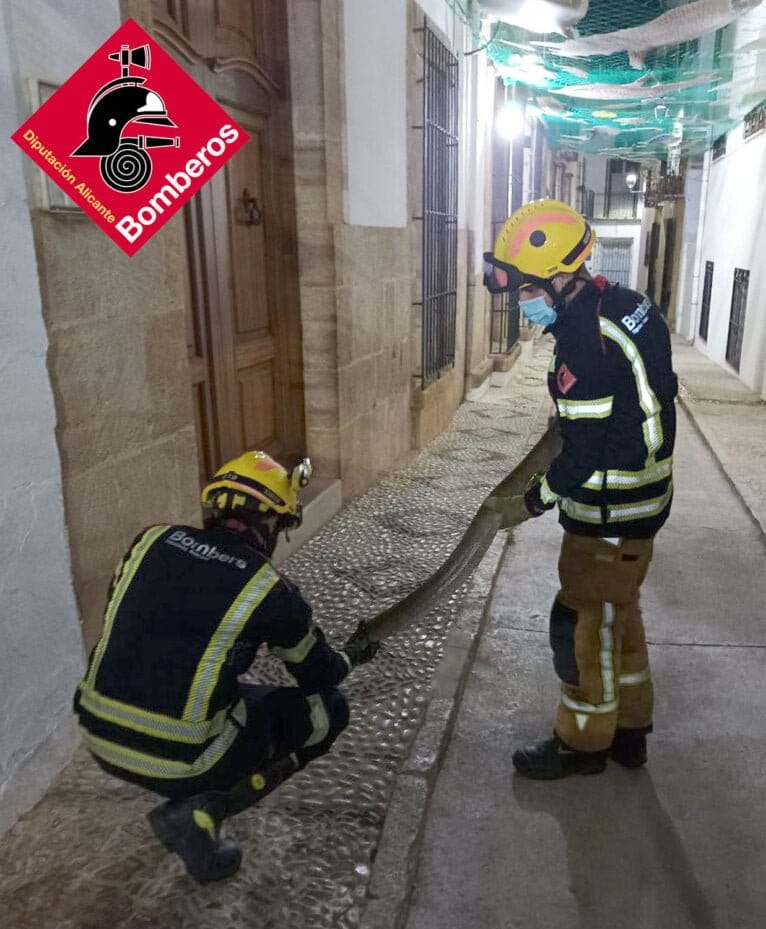 Bomberos sosteniendo la gran serpiente