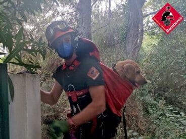 perro rescatado en benissa