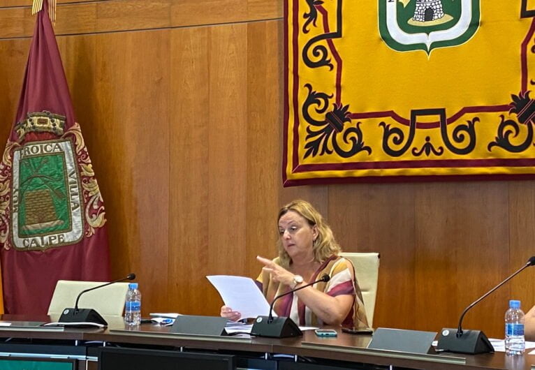 Ana Sala, alcaldesa de Calp, durante una rueda de prensa