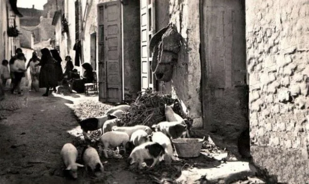 Imagen: Foto de autor desconocido.