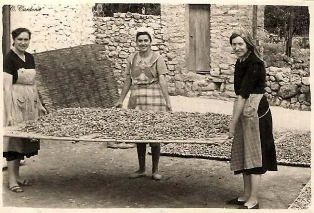 Imagen: Sagra. Imagen de archivo