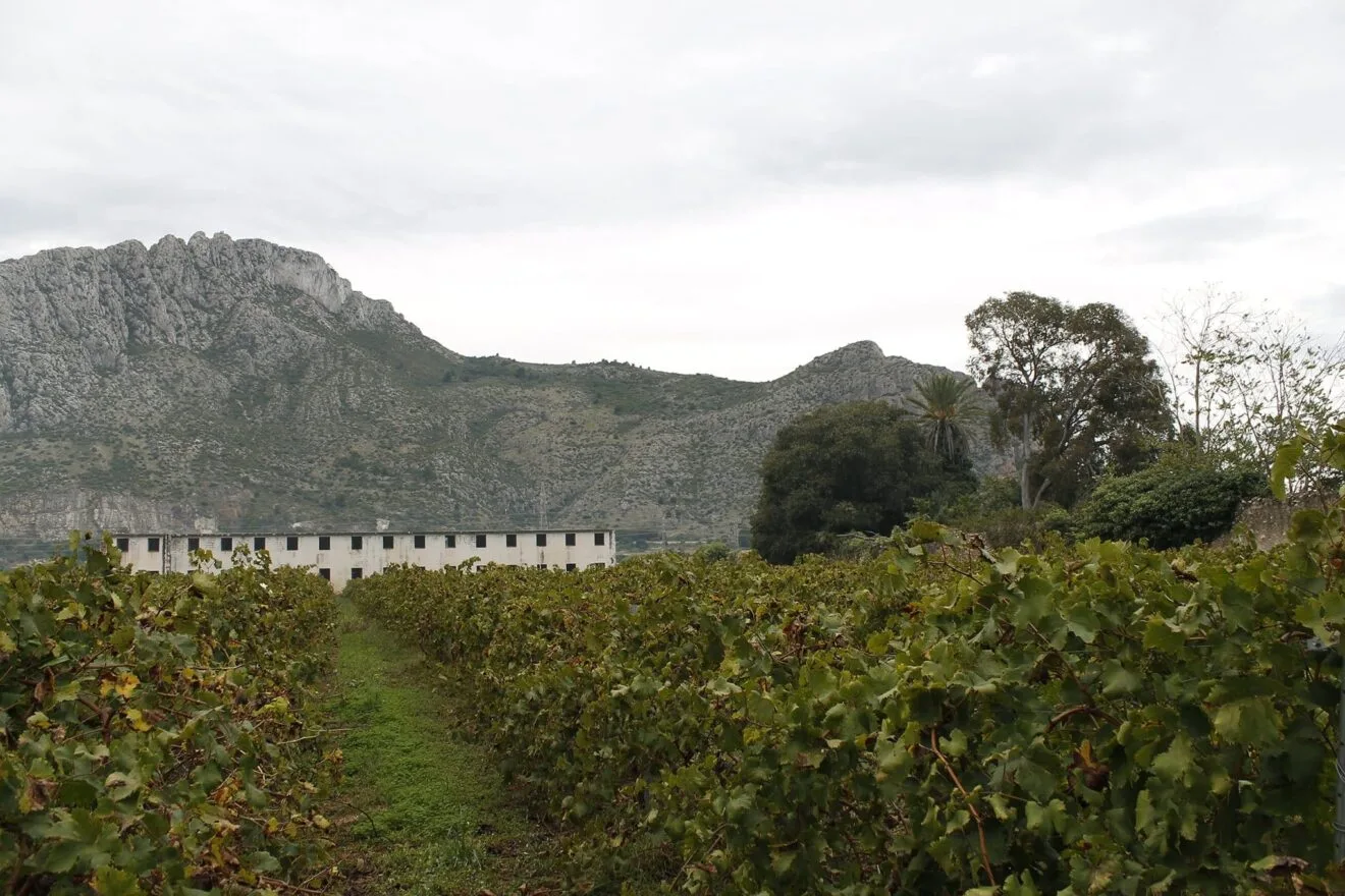 Antiguo psiquiátrico a las faldas de la Serra de Segària, El Verger