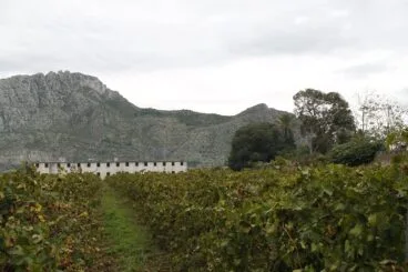 Antiguo psiquiátrico a las faldas de la Serra de Segària, El Verger