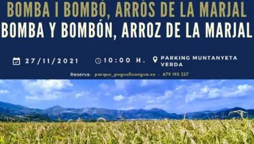 bomba i bombo arros de la marjal