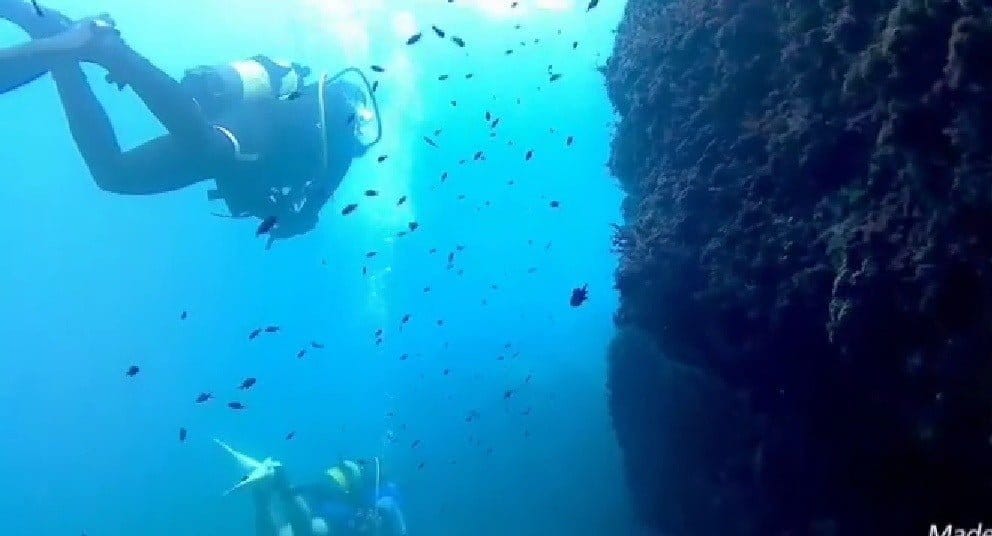 buceo en la cala del raco