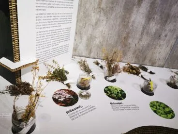 exposicion especias el universo del sabor de la catedra carmencita de estudios del sabor gastronomico