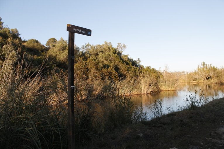 Río Salinar en el Parque Natural de la Marjal Pego-Oliva