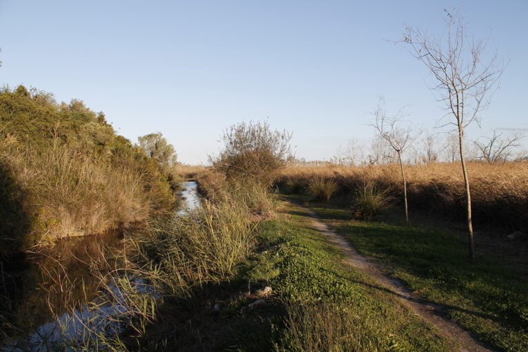 Ruta de la Muntanyeta Verda junto al río Salinar