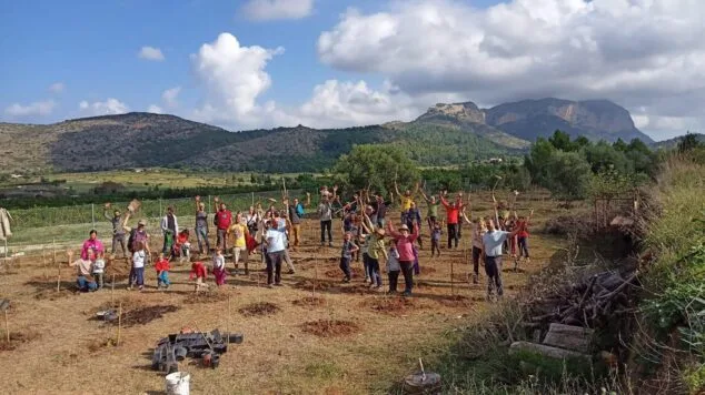 Imagen: Creación del bosque mediterráneo en Pedreguer