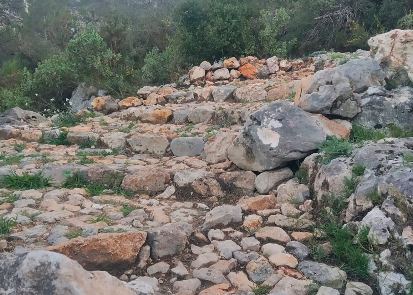 Escalones de pedra seca en la Vall de Gallinera