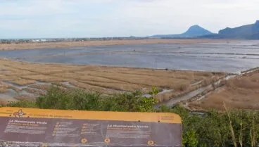 mirador de la muntanyeta verda en el parque natural de la marjal pego oliva
