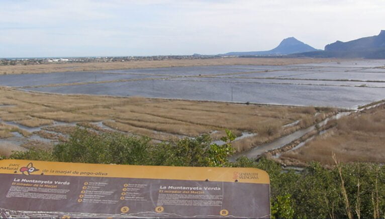 Mirador de la Muntanyeta Verda en el Parque Natural de la Marjal Pego-Oliva