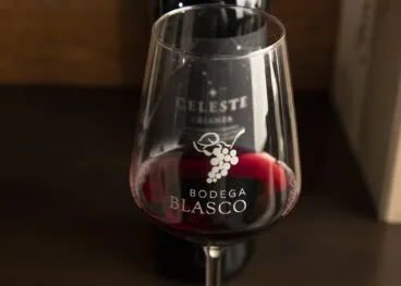 Disfruta de una copa de vino en Bodegas Blasco