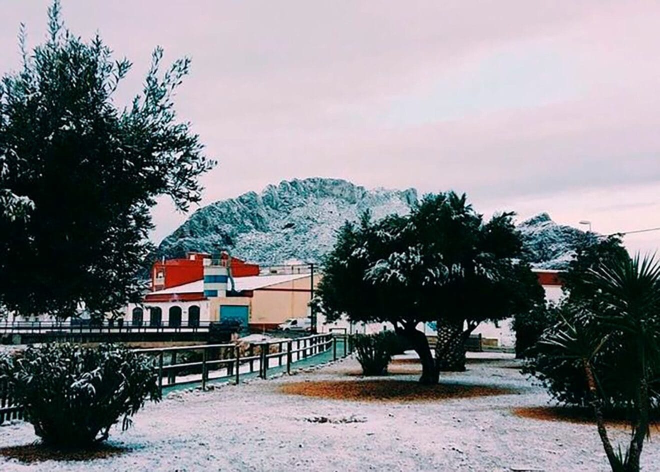 El Verger nevado con la Serra de Segària de fondo - Maria Ivorra