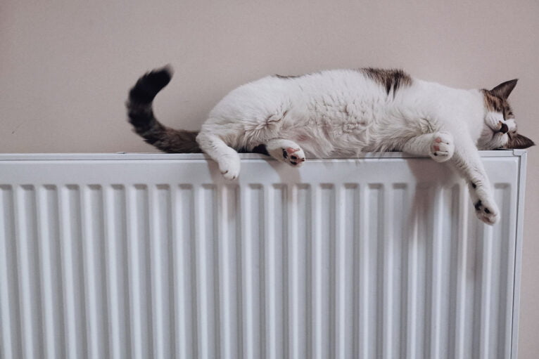 Mantén tu hogar a la temperatura ideal con el combustible a domicilio de Zarcar