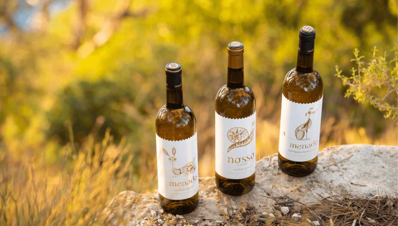 Una gama de exquisitos vinos para sorprender