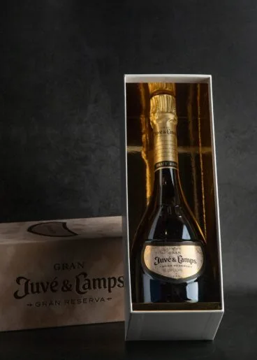 Vino Juvé & Camps en Bodegas Blasco