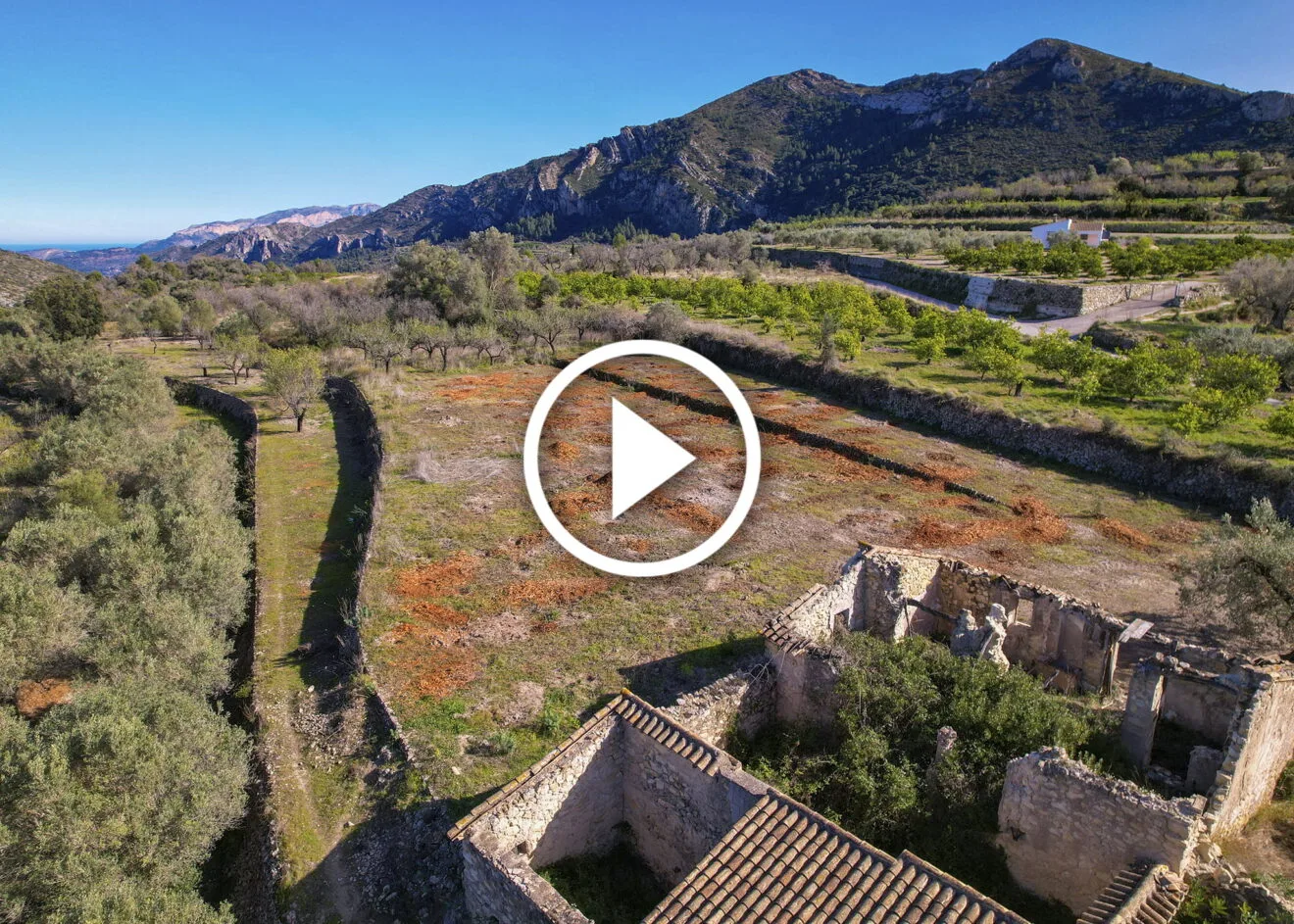 Campo de los almendros triturado en Alcalalí