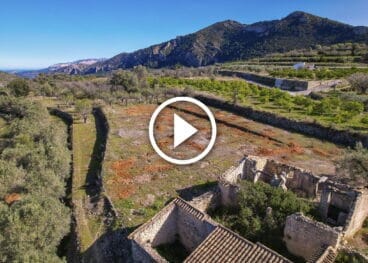 Campo de los almendros triturado en Alcalalí