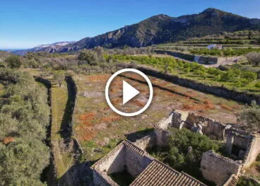 Campo de los almendros triturado en Alcalalí
