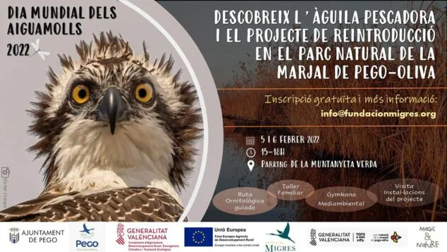 Pego programa una cita con Estell, el águila pescadora de la Marjal, para celebrar el Día de los Humedales 2 Imagen: Cartel promocional de las jornadas en la Marjal de Pego por el Día de los Humedales