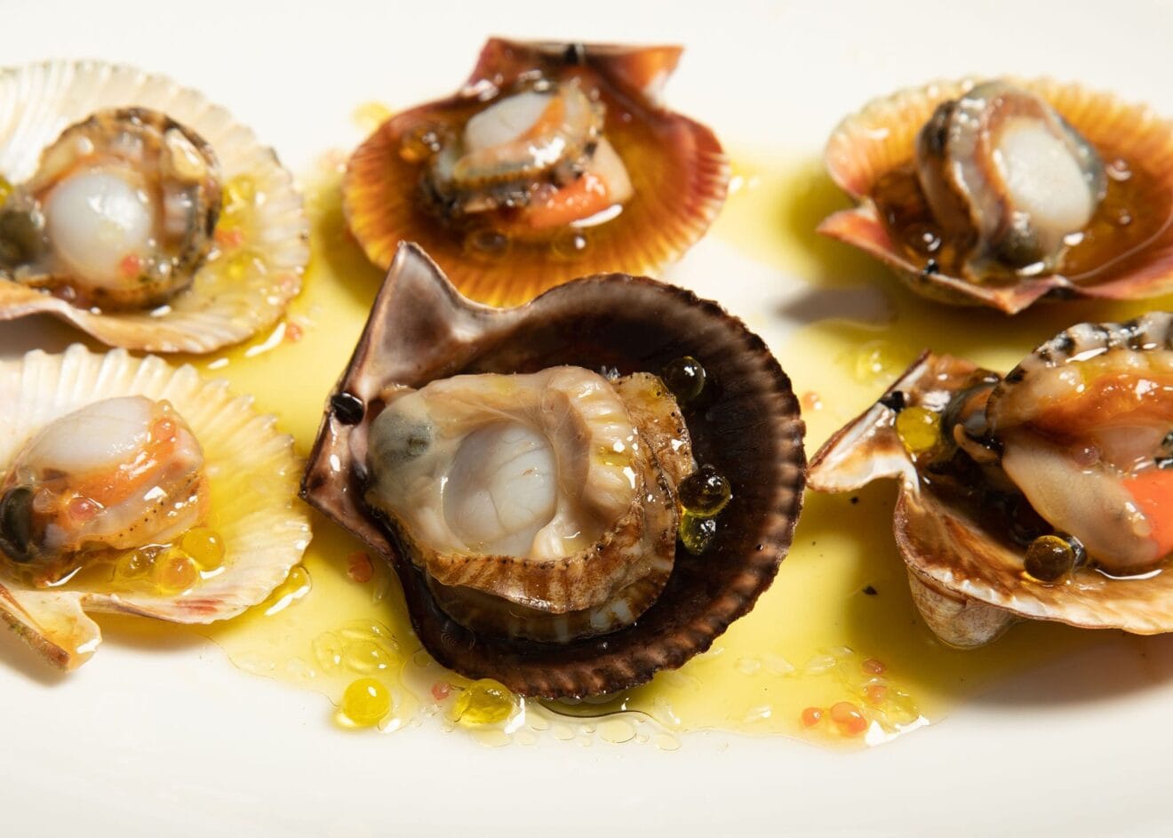 Marisco fresco en El Racó de la Xara