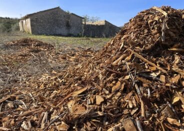 Montones de almendros triturados