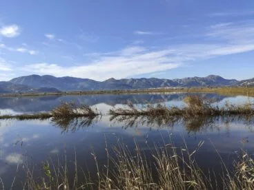 parque natural de la marjal de pego